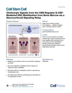 Cell Stem Cell-2017-Cholinergic Signals from the CNS Regulate G-CSF-Mediated HSC Mobilization from Bone Marrow via a Glucocorticoid Signaling Relay