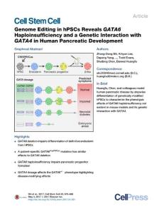 Cell Stem Cell-2017-Genome Editing in hPSCs Reveals GATA6 Haploinsufficiency and a Genetic Interaction with GATA4 in Human Pancreatic Development