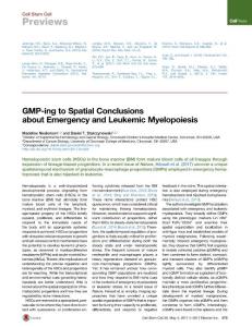Cell Stem Cell-2017-GMP-ing to Spatial Conclusions about Emergency and Leukemic Myelopoiesis