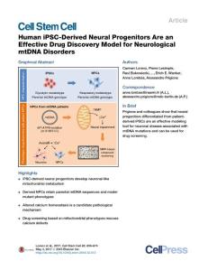 Cell Stem Cell-2017-Human iPSC-Derived Neural Progenitors Are an Effective Drug Discovery Model for Neurological mtDNA Disorders