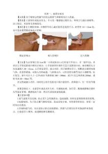 兽医实训