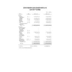 德赛电池：2010年年度审计报告