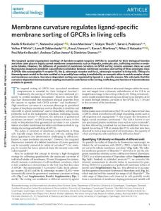 nchembio.2372-Membrane curvature regulates ligand-specific membrane sorting of GPCRs in living cells