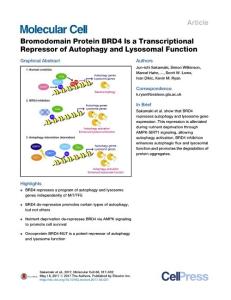 Molecular Cell-2017-Bromodomain Protein BRD4 Is a Transcriptional Repressor of Autophagy and Lysosomal Function