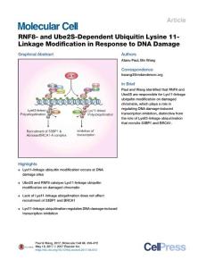 Molecular Cell-2017-RNF8- and Ube2S-Dependent Ubiquitin Lysine 11-Linkage Modification in Response to DNA Damage