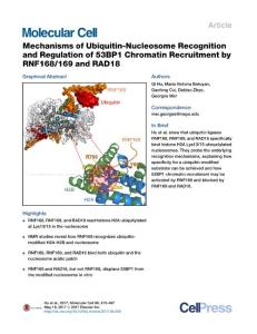 Molecular Cell-2017-Mechanisms of Ubiquitin-Nucleosome Recognition and Regulation of 53BP1 Chromatin Recruitment by RNF168-169 and RAD18