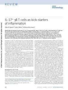 ni.3726-IL-17+ γδ T cells as kick-starters of inflammation