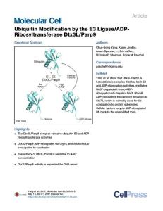 Molecular Cell-2017-Ubiquitin Modification by the E3 Ligase-ADP-Ribosyltransferase Dtx3L-Parp9