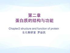 第2章蛋白质的结构与功能