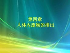 七年级生物下册第四章人体内废物的排出课件济南版