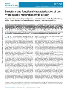 nchembio.2385-Structural and functional characterization of the hydrogenase-maturation HydF protein