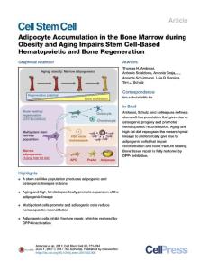 Cell Stem Cell-2017-Adipocyte Accumulation in the Bone Marrow during Obesity and Aging Impairs Stem Cell-Based Hematopoietic and Bone Regeneration