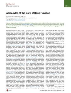 Cell Stem Cell-2017-Adipocytes at the Core of Bone Function