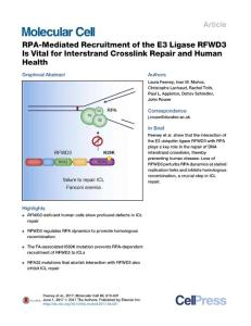 Molecular Cell-2017-RPA-Mediated Recruitment of the E3 Ligase RFWD3 Is Vital for Interstrand Crosslink Repair and Human Health