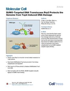 Molecular Cell-2017-SUMO-Targeted DNA Translocase Rrp2 Protects the Genome from Top2-Induced DNA Damage