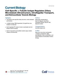 Current-Biology_2017_Cell-Specific-Tubulin-Isotype-Regulates-Ciliary-Microtubule-Ultrastructure-Intraflagellar-Transport-and-Extracellular-Vesicle-Bio