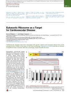 Cell-Chemical-Biology_2016_Eukaryotic-Ribosome-as-a-Target-for-Cardiovascular-Disease