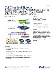 Cell-Chemical-Biology_2016_Conformation-Selective-Antibody-Enables-Genome-Profiling-and-Leads-to-Discovery-of-Parallel-G-Quadruplex-in-Human-Telomeres