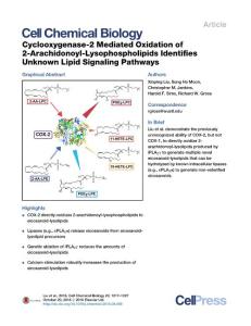 Cell-Chemical-Biology_2016_Cyclooxygenase-2-Mediated-Oxidation-of-2-Arachidonoyl-Lysophospholipids-Identifies-Unknown-Lipid-Signaling-Pathways