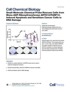 Cell-Chemical-Biology_2016_Small-Molecule-Chemical-Probe-Rescues-Cells-from-Mono-ADP-Ribosyltransferase-ARTD10-PARP10-Induced-Apoptosis-and-Sensitizes