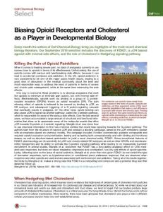 Cell-Chemical-Biology_2016_Biasing-Opioid-Receptors-and-Cholesterol-as-a-Player-in-Developmental-Biology