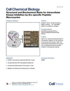 Cell-Chemical-Biology_2016_Structural-and-Biochemical-Basis-for-Intracellular-Kinase-Inhibition-by-Src-specific-Peptidic-Macrocycles