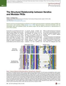 Cell-Chemical-Biology_2016_The-Structural-Relationship-between-Iterative-and-Modular-PKSs