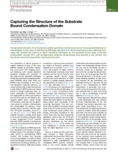 Cell-Chemical-Biology_2016_Capturing-the-Structure-of-the-Substrate-Bound-Condensation-Domain