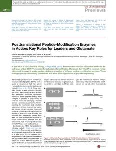 Cell-Chemical-Biology_2016_Posttranslational-Peptide-Modification-Enzymes-in-Action-Key-Roles-for-Leaders-and-Glutamate