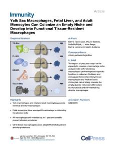 Immunity_2016_Yolk-Sac-Macrophages-Fetal-Liver-and-Adult-Monocytes-Can-Colonize-an-Empty-Niche-and-Develop-into-Functional-Tissue-Resident-Macrophages