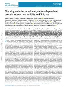 nchembio.2386-Blocking an N-terminal acetylation–dependent protein interaction inhibits an E3 ligase