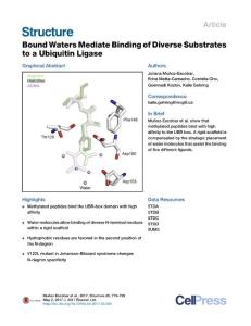 Structure_2017_Bound-Waters-Mediate-Binding-of-Diverse-Substrates-to-a-Ubiquitin-Ligase