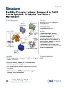 Structure_2017_Dual-Site-Phosphorylation-of-Caspase-7-by-PAK2-Blocks-Apoptotic-Activity-by-Two-Distinct-Mechanisms