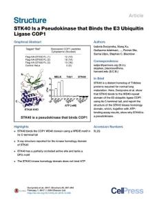 Structure_2017_STK40-Is-a-Pseudokinase-that-Binds-the-E3-Ubiquitin-Ligase-COP1