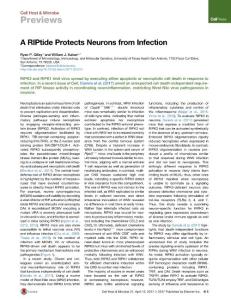 Cell-Host-Microbe_2017_A-RIPtide-Protects-Neurons-from-Infection