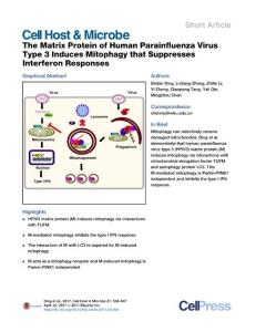 Cell-Host-Microbe_2017_The-Matrix-Protein-of-Human-Parainfluenza-Virus-Type-3-Induces-Mitophagy-that-Suppresses-Interferon-Responses