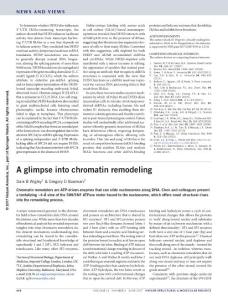 nsmb.3415-A glimpse into chromatin remodeling