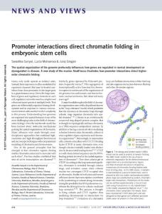 nsmb.3421-Promoter interactions direct chromatin folding in embryonic stem cells