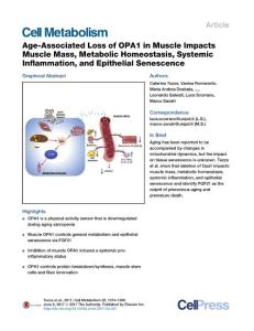 Cell-Metabolism_2017_Age-Associated-Loss-of-OPA1-in-Muscle-Impacts-Muscle-Mass-Metabolic-Homeostasis-Systemic-Inflammation-and-Epithelial-Senescence