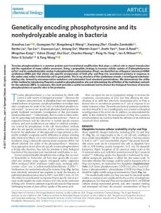 nchembio.2405-Genetically encoding phosphotyrosine and its nonhydrolyzable analog in bacteria