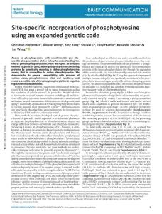 nchembio.2406-Site-specific incorporation of phosphotyrosine using an expanded genetic code