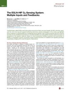 Molecular Cell-2017-The EGLN-HIF O2-Sensing System Multiple Inputs and Feedbacks