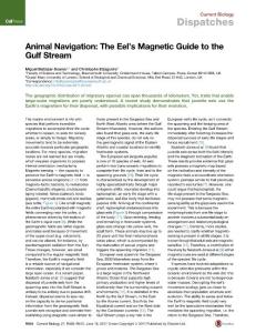 Current-Biology_2017_Animal-Navigation-The-Eel-s-Magnetic-Guide-to-the-Gulf-Stream