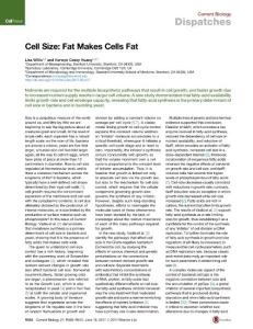 Current-Biology_2017_Cell-Size-Fat-Makes-Cells-Fat