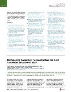Current-Biology_2017_Centrosome-Assembly-Reconstructing-the-Core-Cartwheel-Structure-In-Vitro