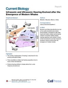 Current-Biology_2017_Infrasonic-and-Ultrasonic-Hearing-Evolved-after-the-Emergence-of-Modern-Whales