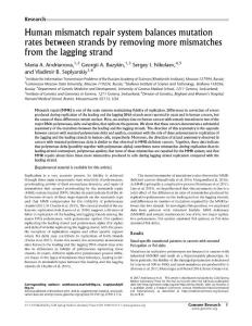 Genome Res.-2017-Andrianova-Human mismatch repair system balances mutation rates between strands by removing more mismatches from the lagging strand