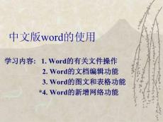 中文版WORD的使用