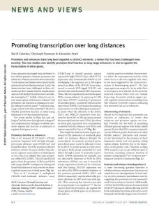 ng.3904-Promoting transcription over long distances