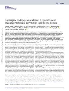 nsmb.3433-Asparagine endopeptidase cleaves α-synuclein and mediates pathologic activities in Parkinson´s disease